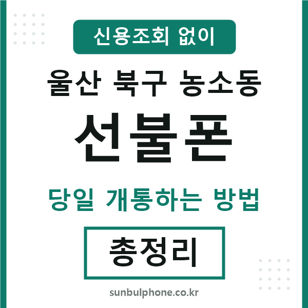울산북구농소동선불폰