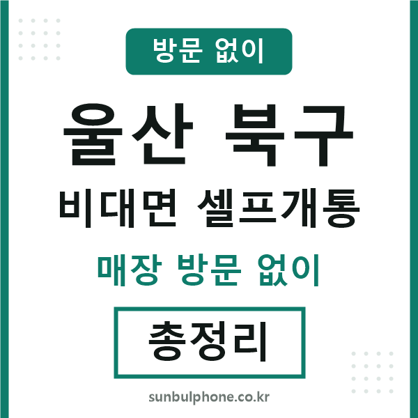 울산북구 비대면 셀프개통