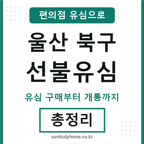 울산북구선불유심