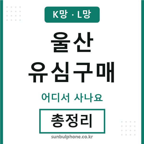 울산 유심구매