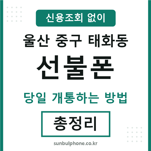 울산중구태화동선불폰