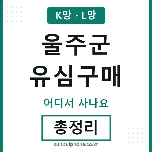 울주군 유심구매