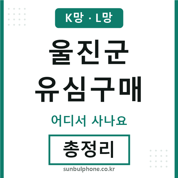 울진군 유심구매