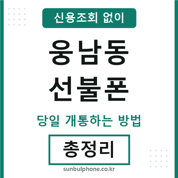 웅남동선불폰