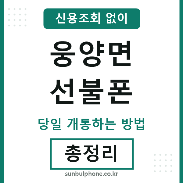 웅양면선불폰