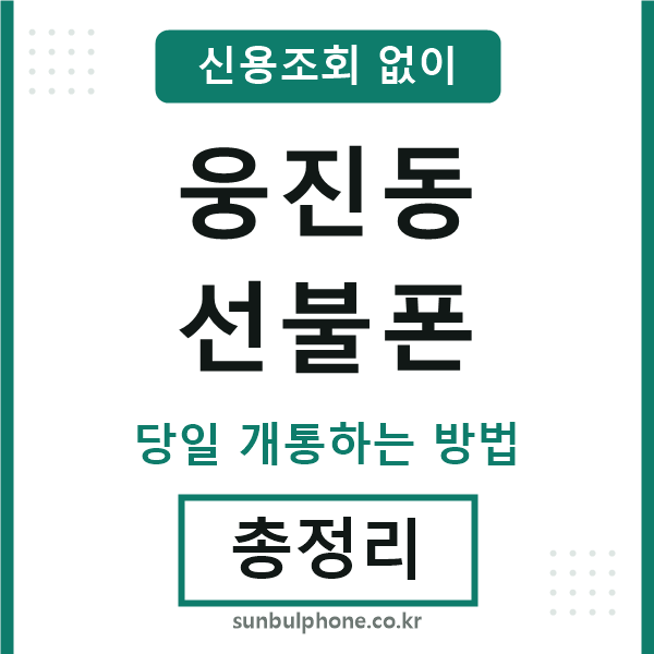 웅진동선불폰
