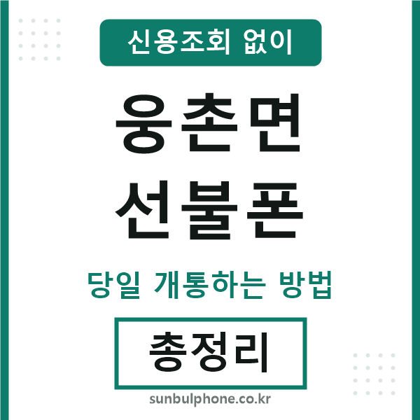 웅촌면선불폰