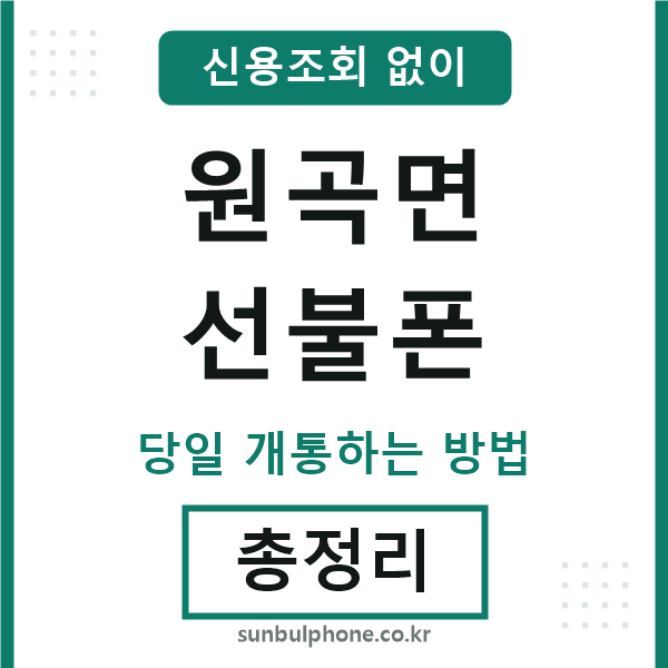 원곡면선불폰