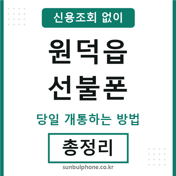 원덕읍선불폰