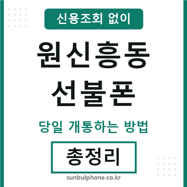 원신흥동선불폰
