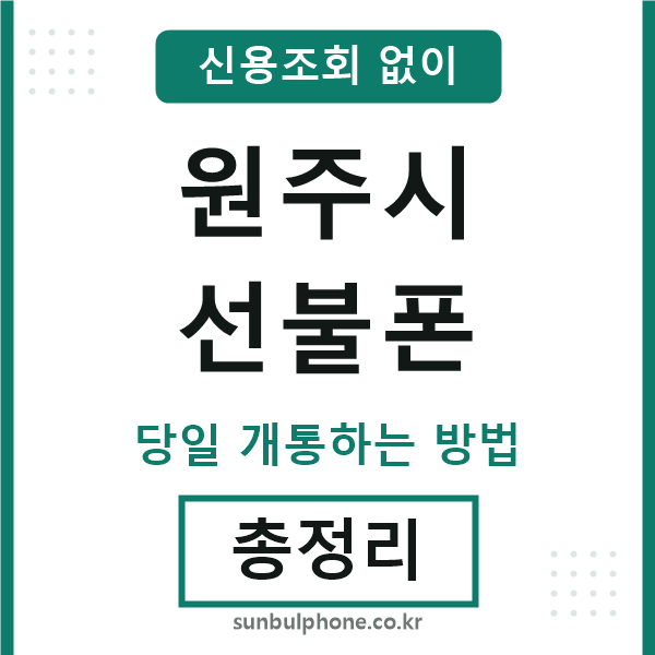 원주시선불폰