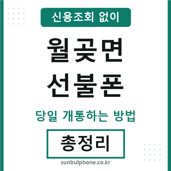 월곶면선불폰
