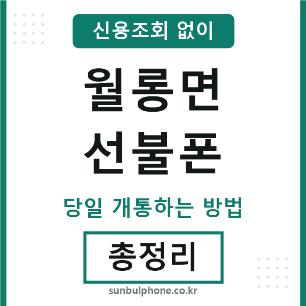월롱면선불폰