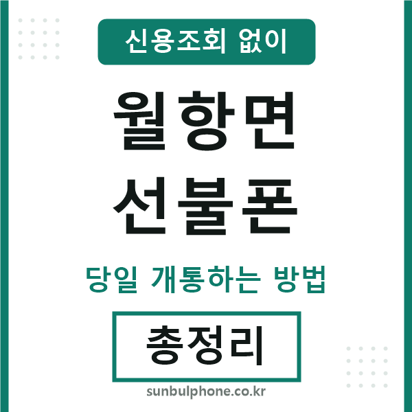 월항면선불폰