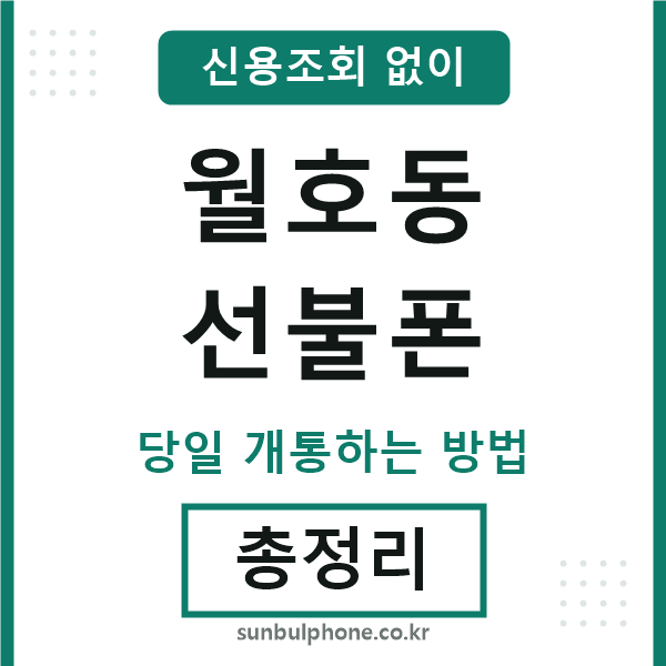 월호동선불폰