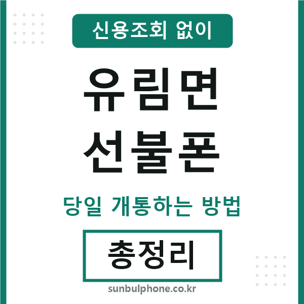 유림면선불폰