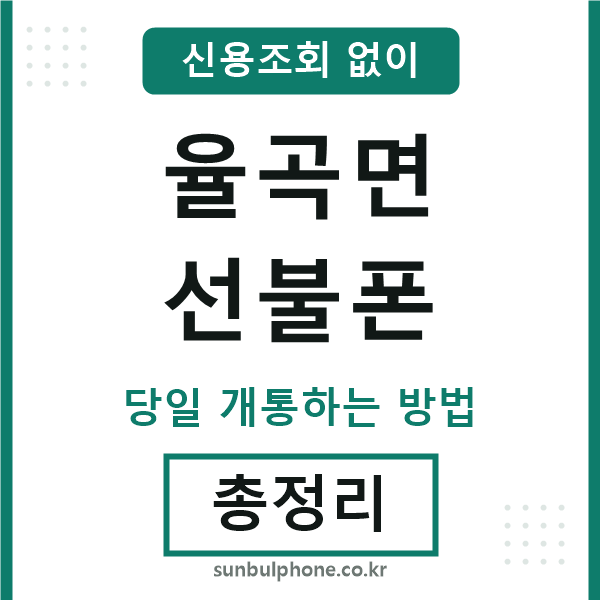 율곡면선불폰