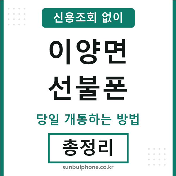 이양면선불폰