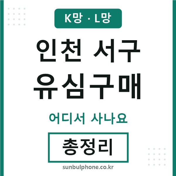 인천서구 유심구매