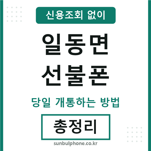 일동면선불폰