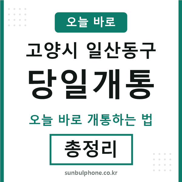 일산동 당일개통