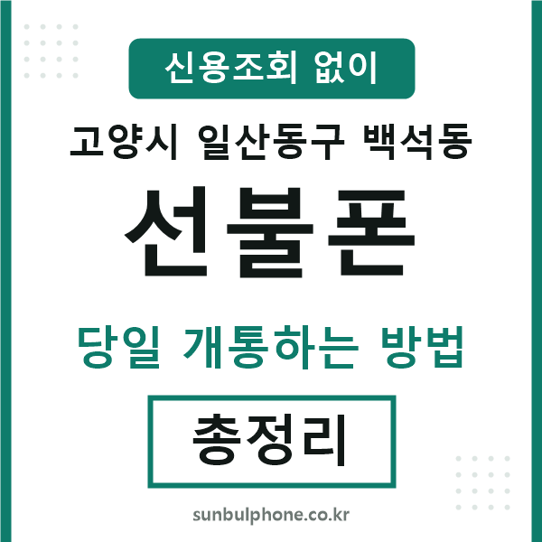 일산동구백석동선불폰