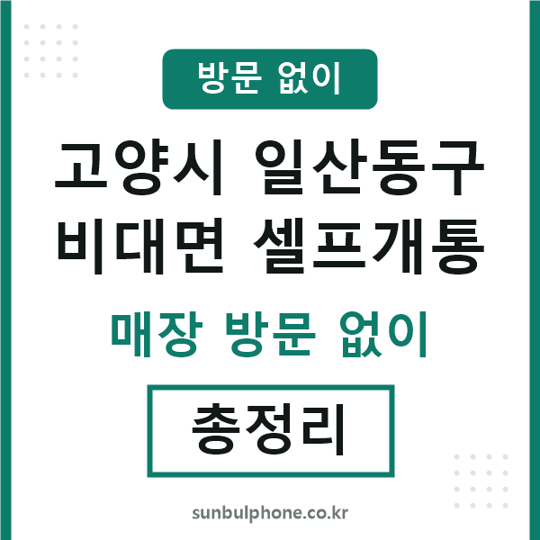 일산동 비대면 셀프개통