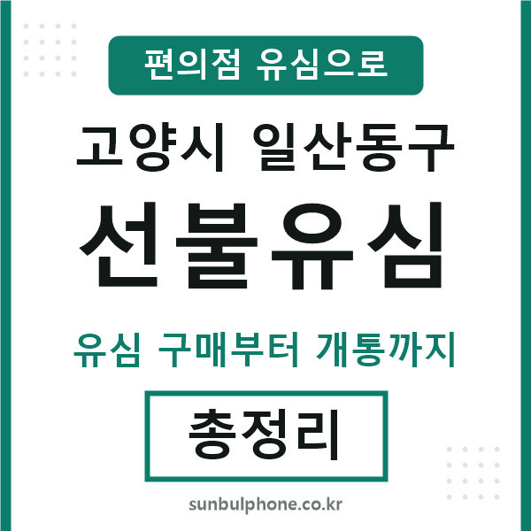 일산동선불유심