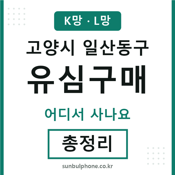 일산동구 유심구매