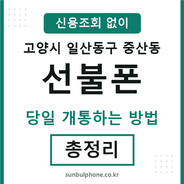 일산동구중산동선불폰