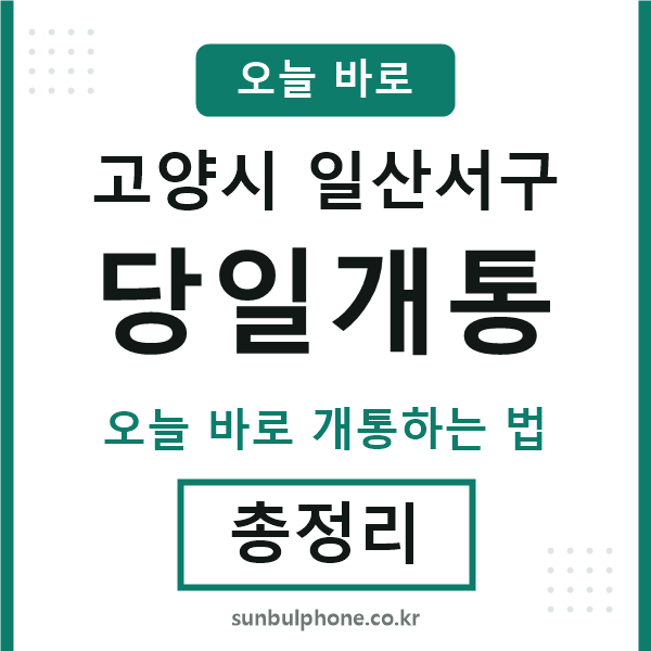 일산서 당일개통