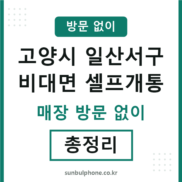 일산서구 비대면 셀프개통
