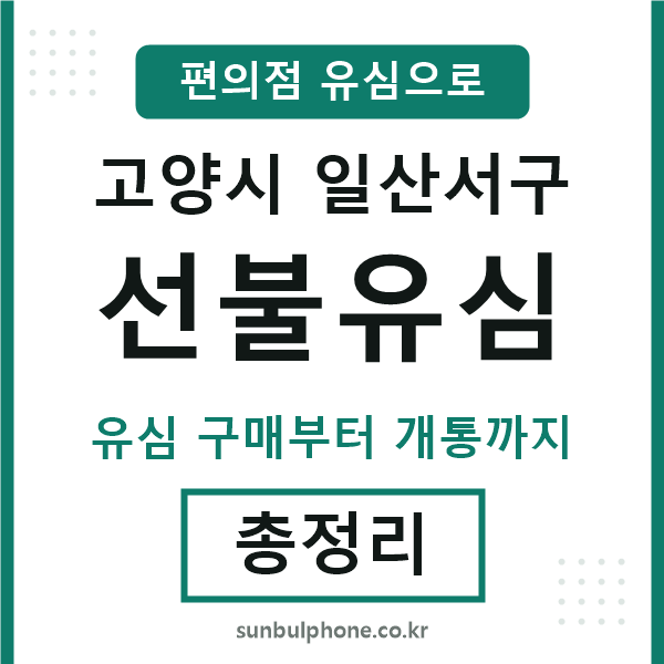 일산서구선불유심