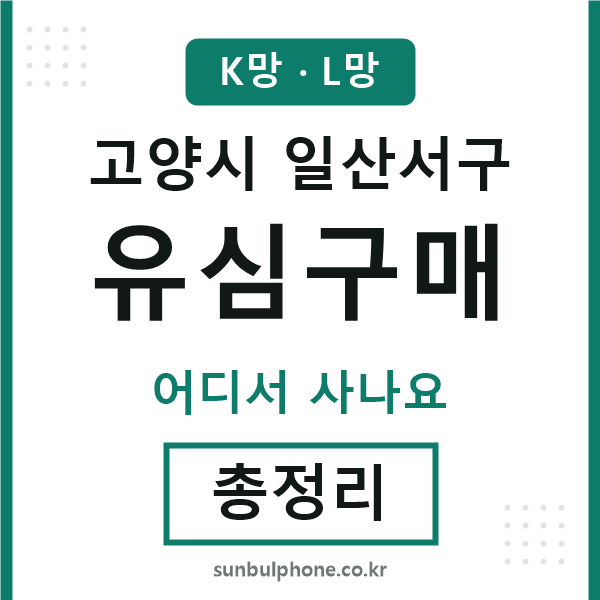 일산서구 유심구매