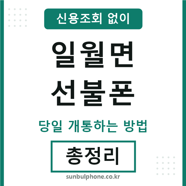 일월면선불폰