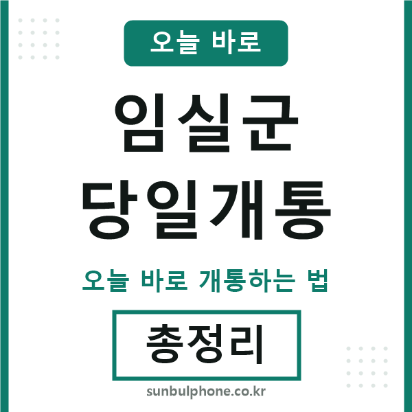 임실 당일개통