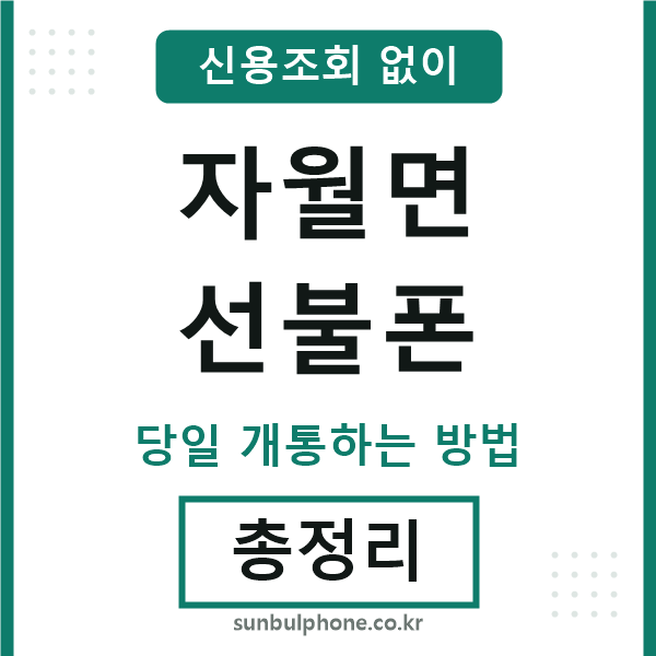 자월면선불폰