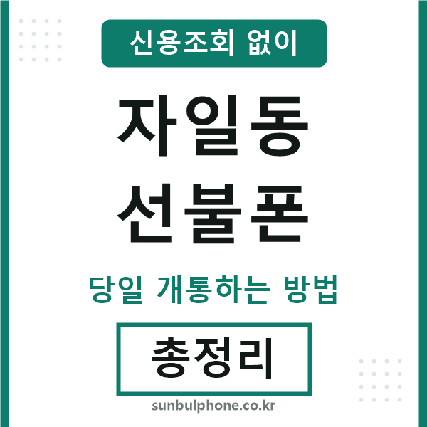 자일동선불폰