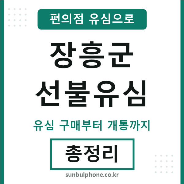 장흥선불유심