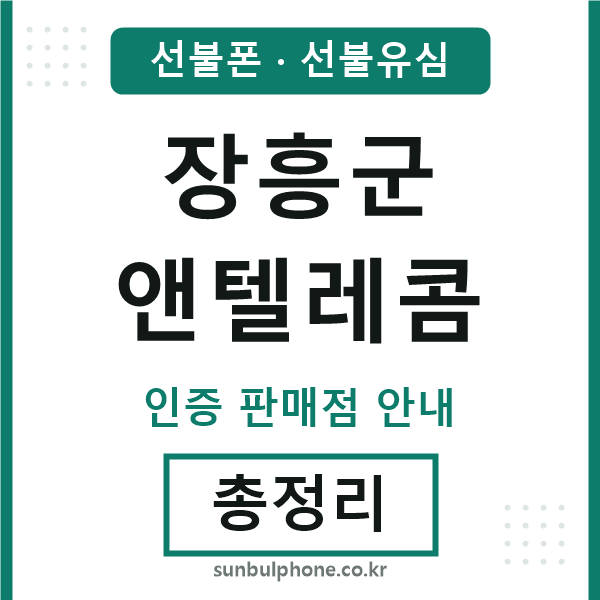 장흥군앤텔레콤