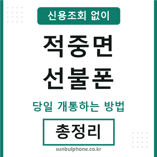 적중면선불폰