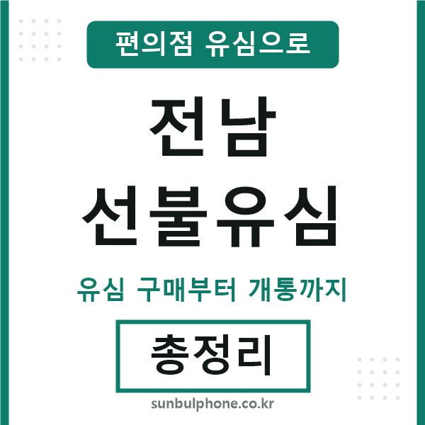 전남선불유심