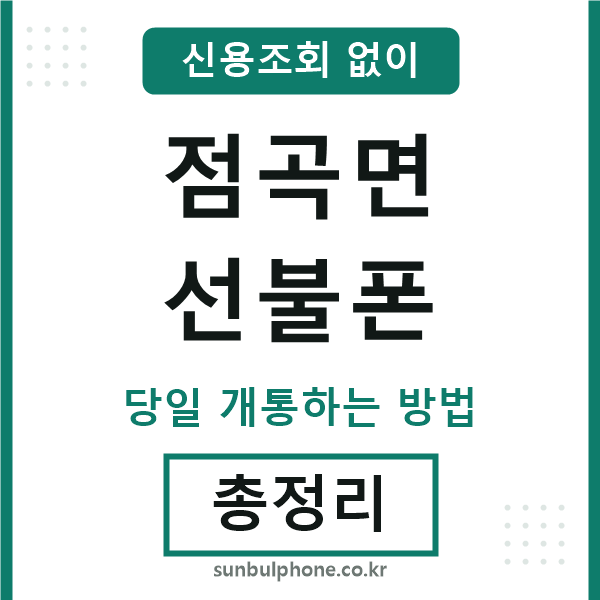 점곡면선불폰