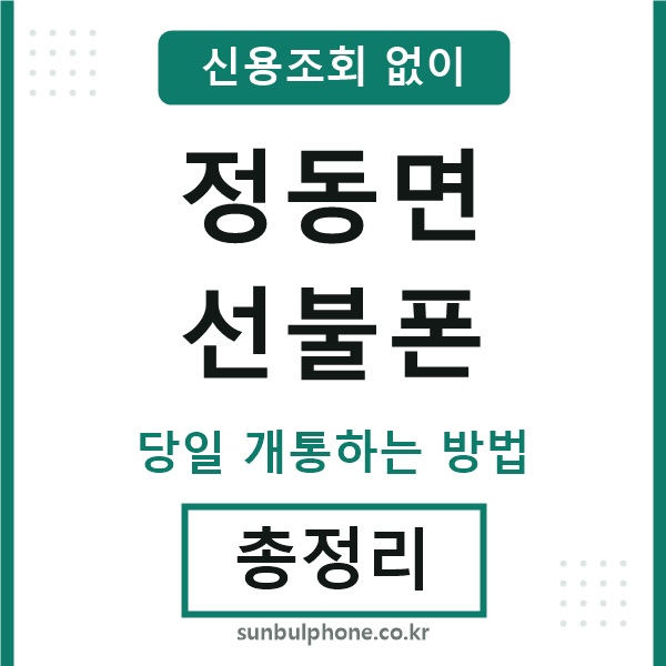 정동면선불폰