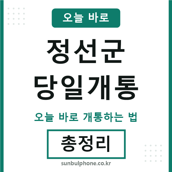 정선 당일개통