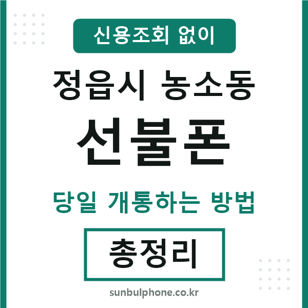 정읍시농소동선불폰