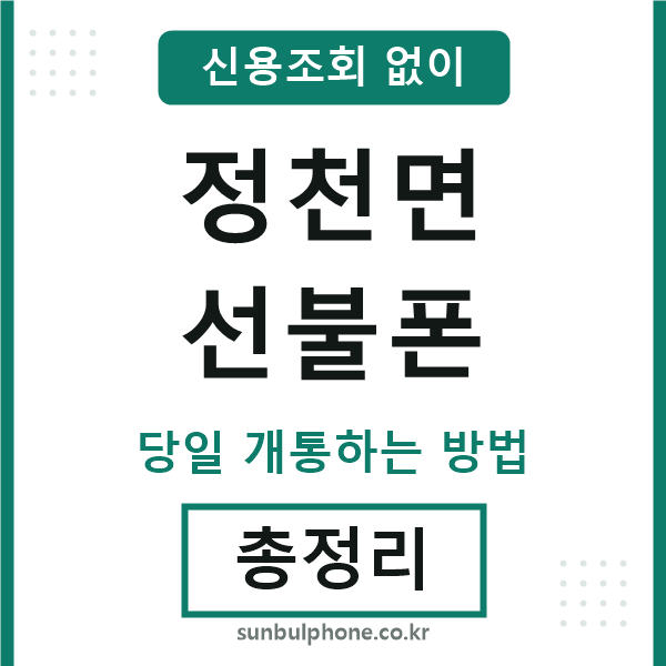 정천면선불폰