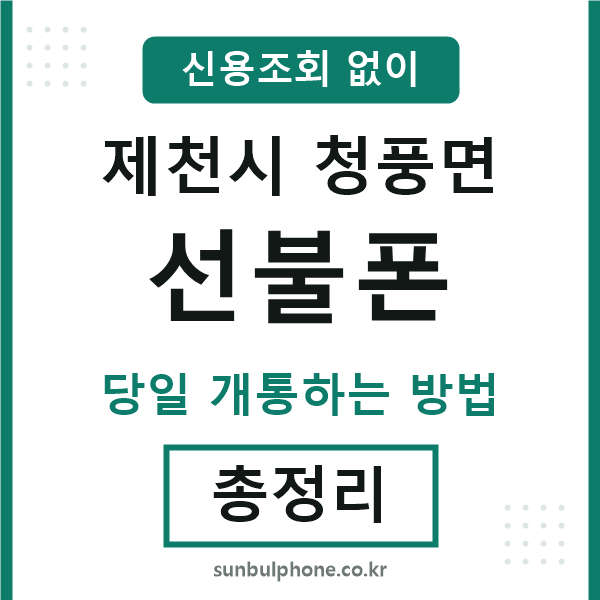 제천시청풍면선불폰