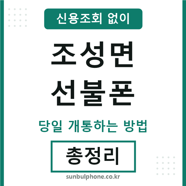 조성면선불폰