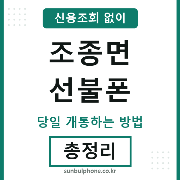 조종면선불폰